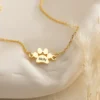 kf-S5f9d81e925f24c98a321d05879aa0677d-Bracelet-Patte-de-Chat-Personnalis-avec-Nom-Sculpt-en-Acier-Inoxydable-Style-Mignon-Simple-et-la